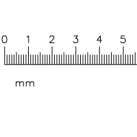 Reticle 21mm Straight Line Rule, 0-15mm/0.1mm Increments